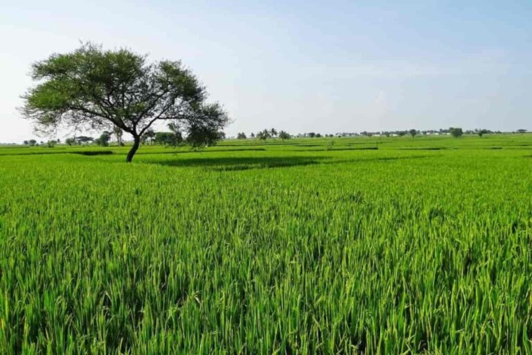 खेती की जमीन बेचने के नियम Rules for Selling Agricultural Land in India